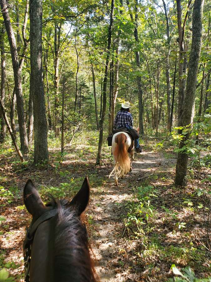 Beautiful trail riding!